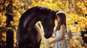 young girl and horse touching foreheads